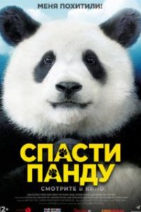  Спасти панду  (2020)