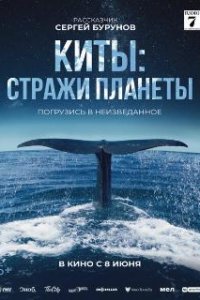  Киты: Стражи планеты  (2023)