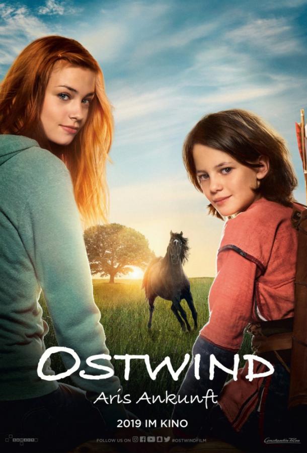  Восточный ветер 4: Легенда о Воине  (2019)