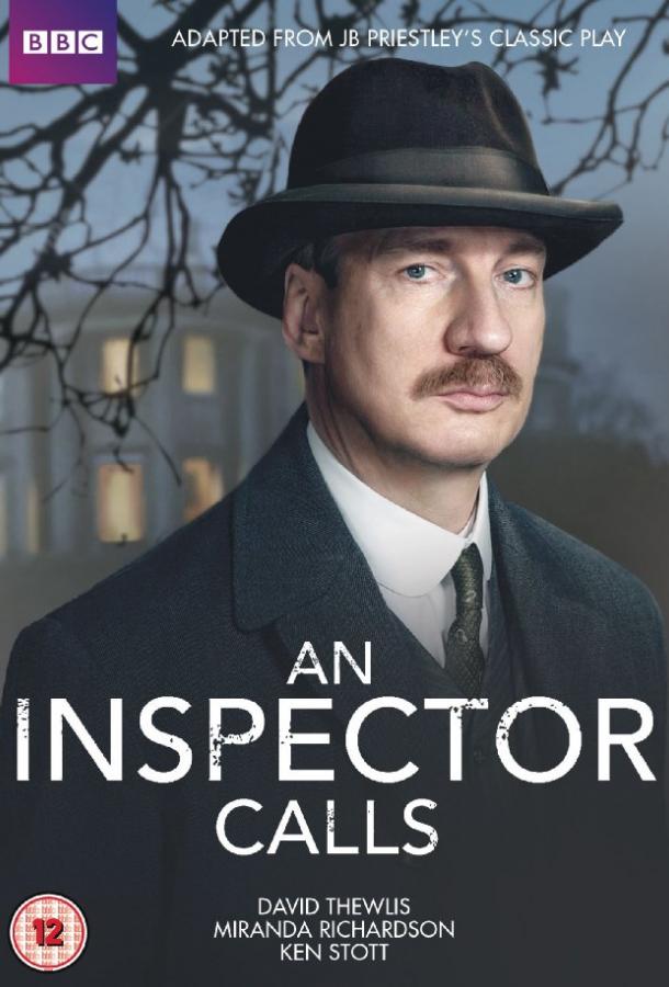  Визит инспектора  (2015)