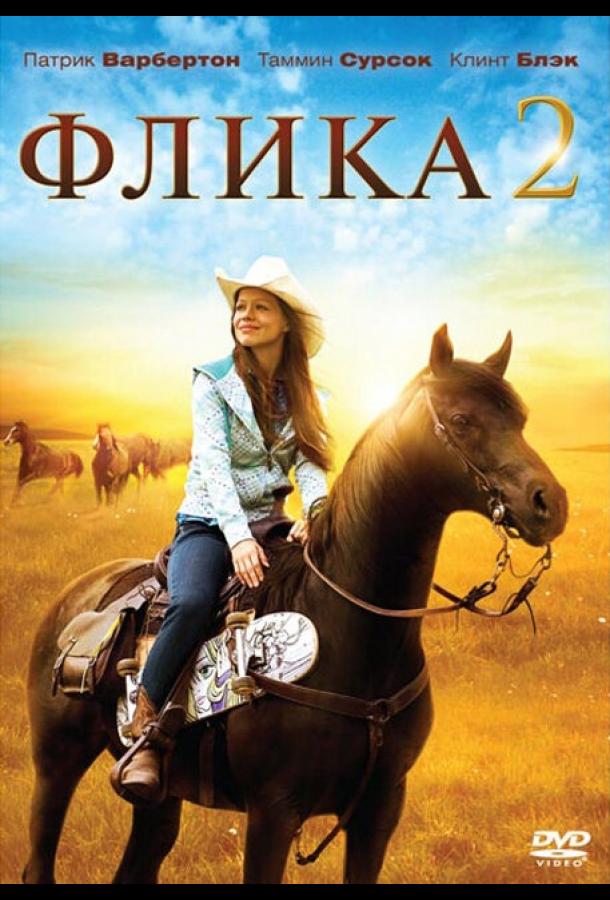 Флика 2 (2010)