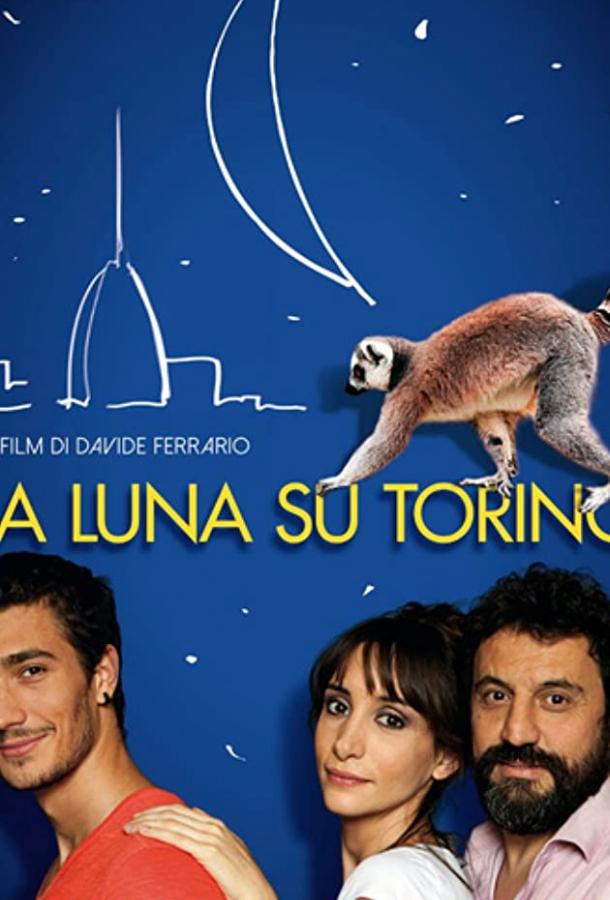  Луна над Турином  (2013)