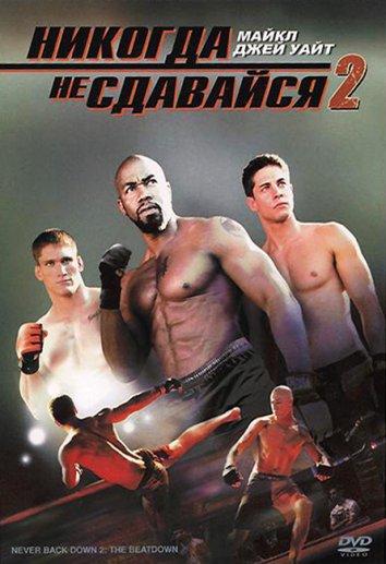 Никогда не сдавайся 3 (2011)