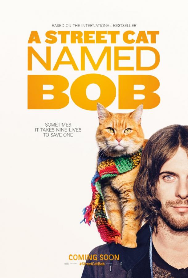  Уличный кот по кличке Боб  (2016)